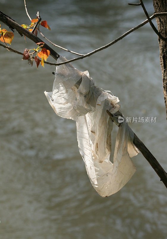 2 . the river Pollution河流污染